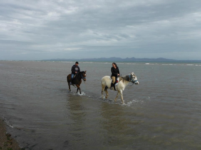  Passeggiando per Loreto 
